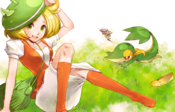 Pokemon Picture Collection cover