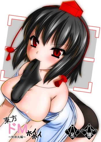 Touhou Dom Hoihoi ~Shameimaru-hen~ cover