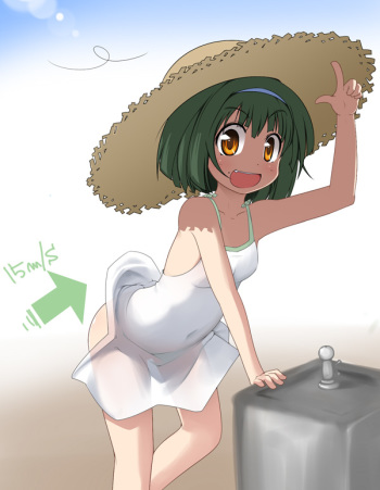 Kotatsu cover