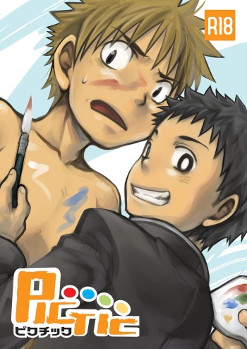 PICTIC cover