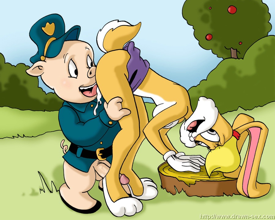 drawn sex present looney tunes page 1 full