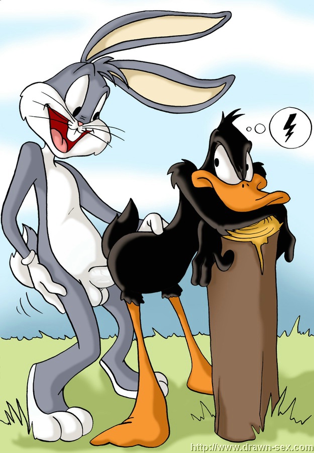 drawn sex present looney tunes page 3 full