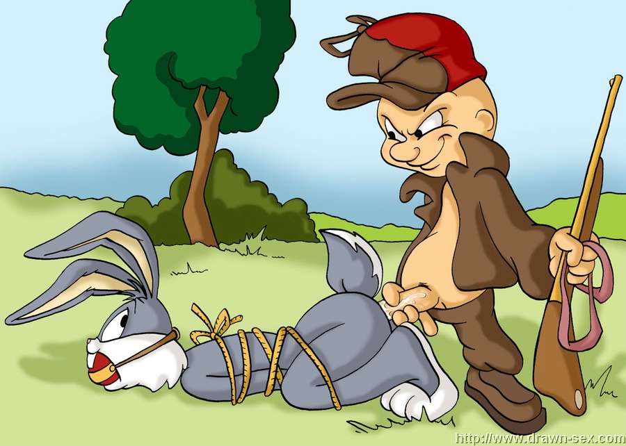 drawn sex present looney tunes page 6 full
