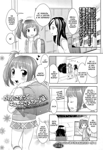 Megu-chan's Recorder | La Flauta de Megu-chan cover