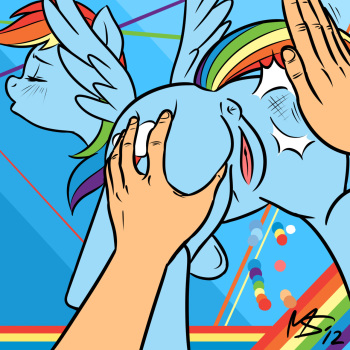 Enjoy clopping at ponies cover