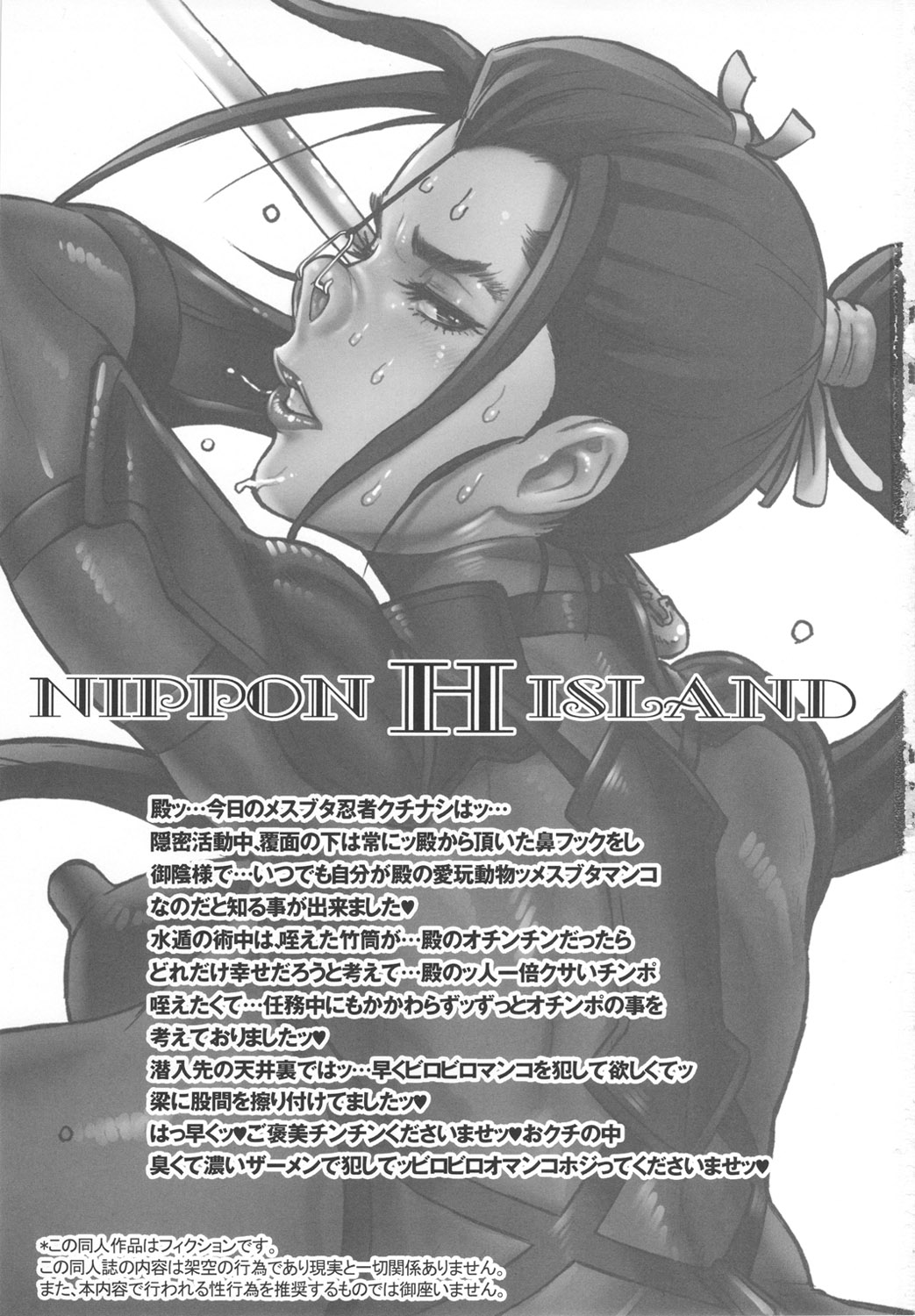 NIPPON H ISLAND page 2 full