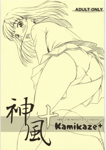 Kamikaze+ cover