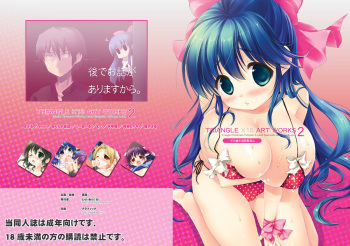 TRIANGLE X18 ART WORKS 2 cover