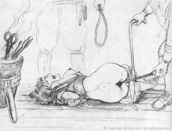 xtorture 1~53 updated cover
