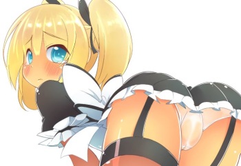 Maid Collection 2 cover