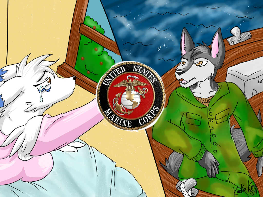 Military furries page 4 full