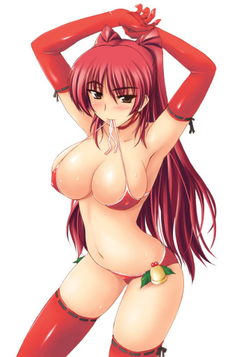 Sexy Christmas cover