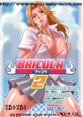 BRICOLA 2 cover