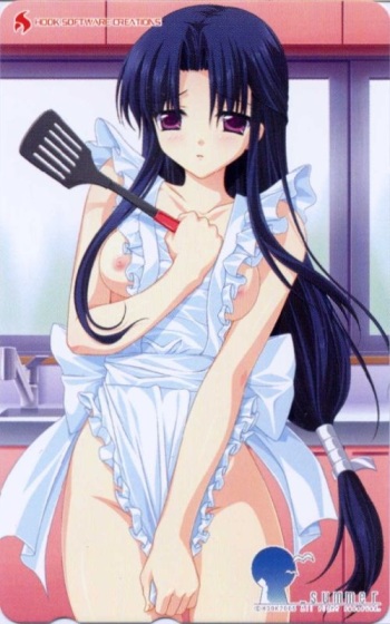 Nude apron cover