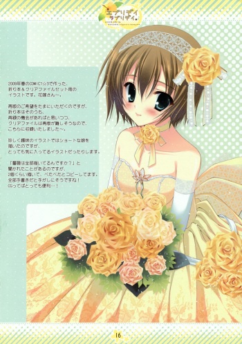Beauties in Wedding Dress 02 cover
