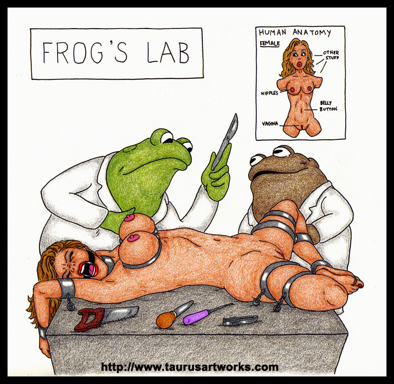 FROG &amp; TOAD page 1 full