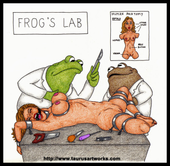 FROG &amp; TOAD cover