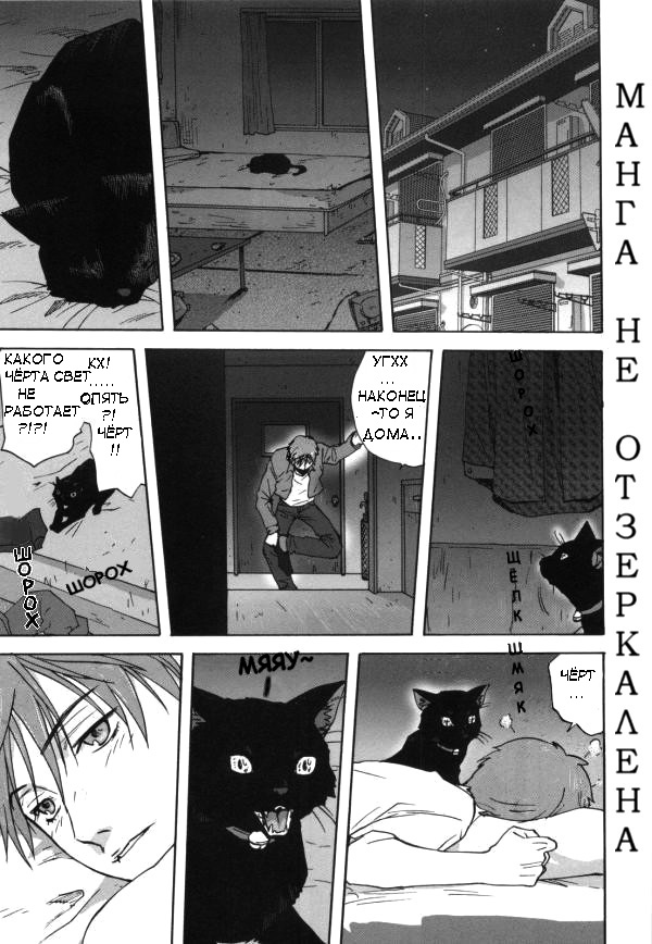 Neko no Ongaeshi | Кошка, которая платит за доброту page 1 full