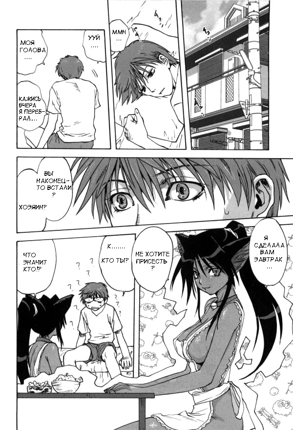 Neko no Ongaeshi | Кошка, которая платит за доброту page 4 full