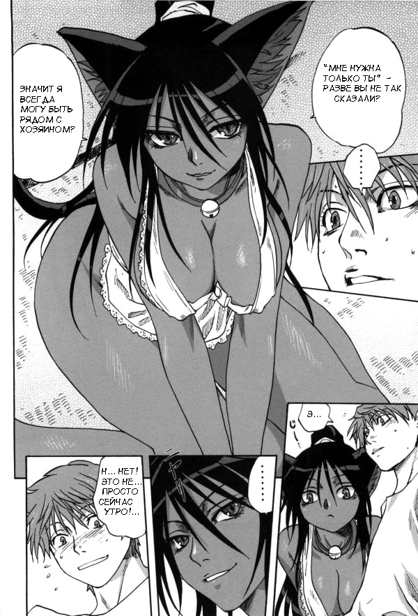 Neko no Ongaeshi | Кошка, которая платит за доброту page 6 full