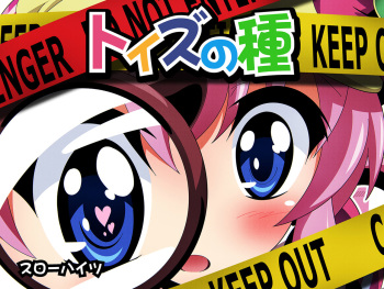 Toizu no Tane cover