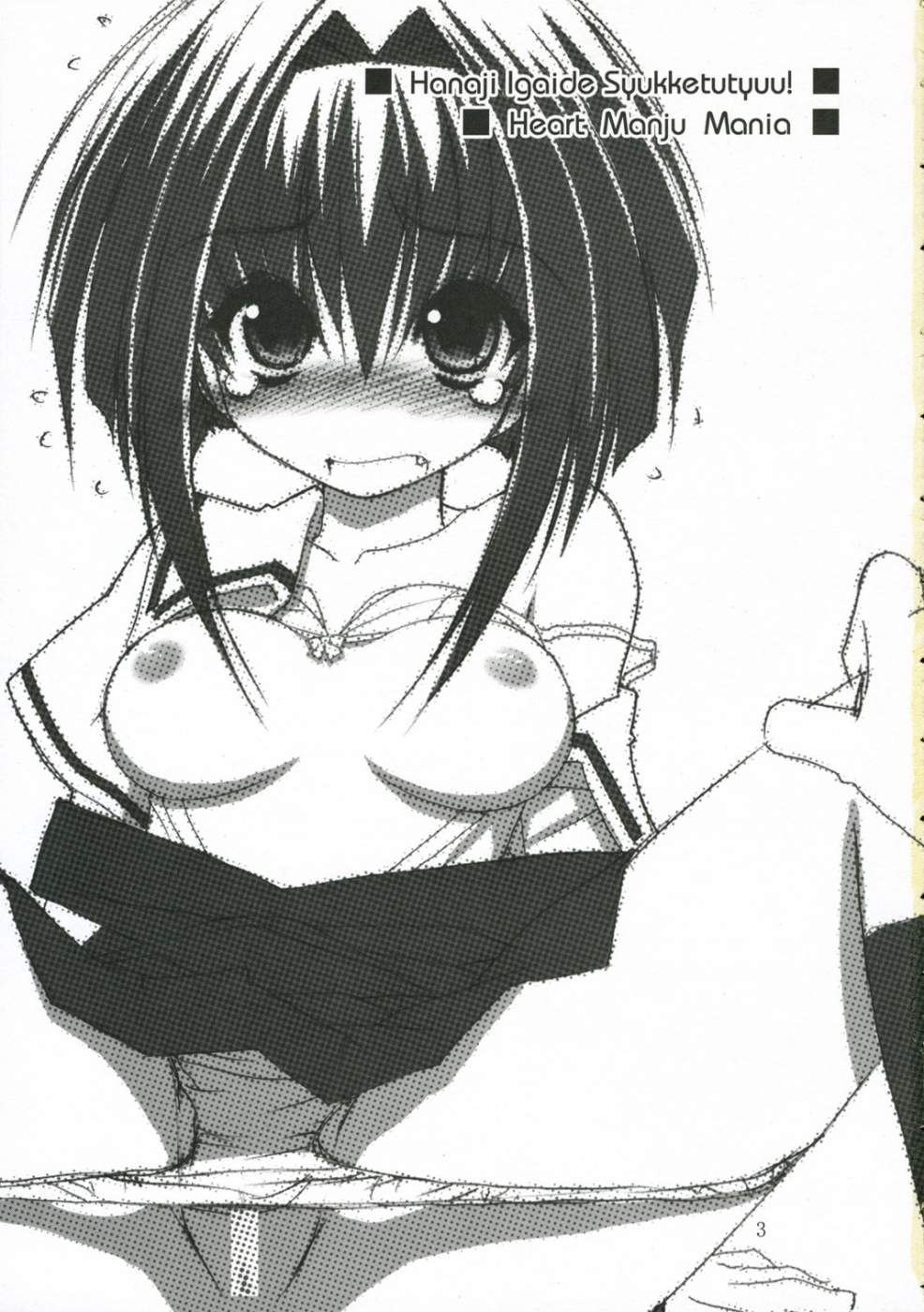 Hanaji Igai de Shukketsujuu! page 2 full