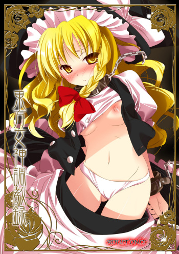 Touhou Megami Choukyouroku cover