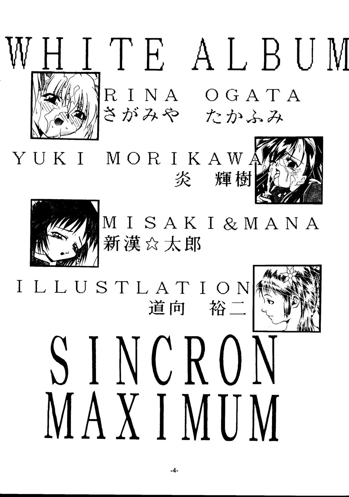 Sincron Maximum ~W.A~ page 3 full