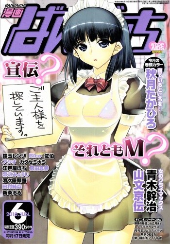 Manga Bangaichi 2010-06 cover