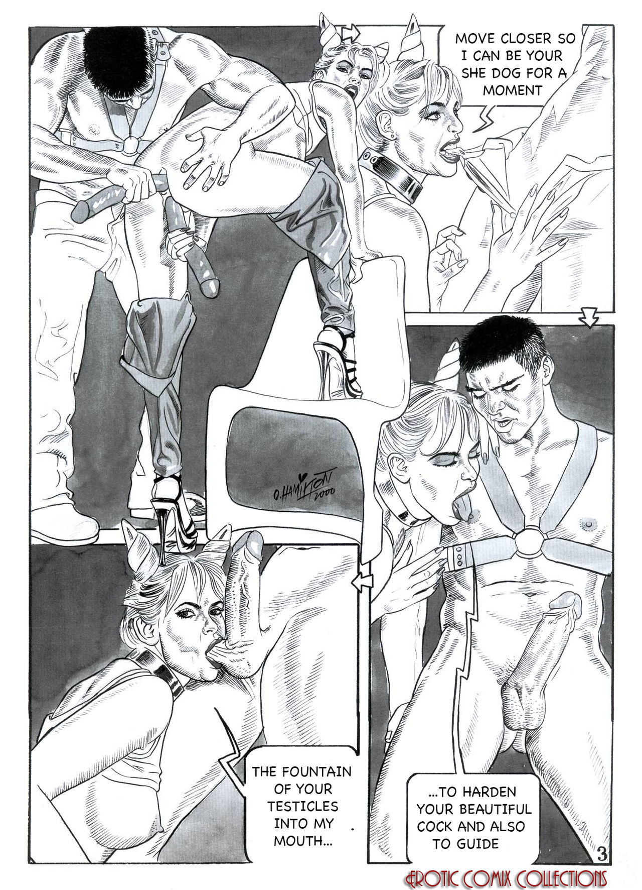 Fauna page 4 full