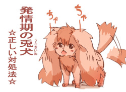 Usagiinu no Kaikata Kouza