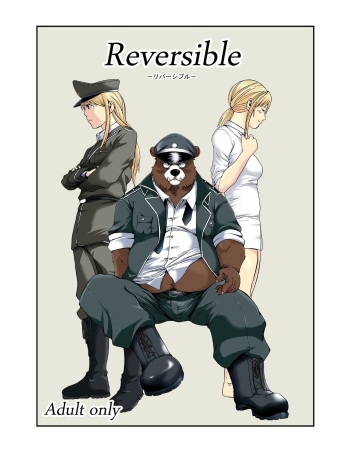 Reversible cover