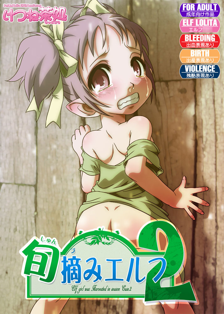Shunzumi Elf Dai-2-shou page 1 full