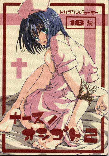 Nurse no Oshigoto 2 cover