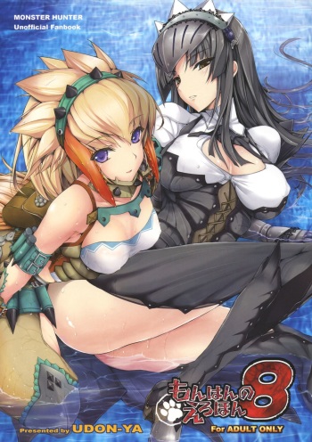 Monhan no Erohon 8 cover