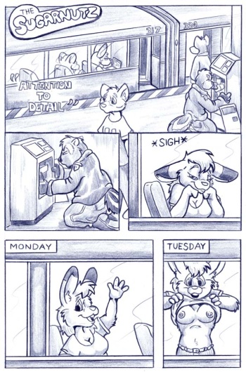 SugarNutz: Attention to Detail cover