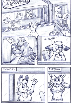 SugarNutz: Attention to Detail