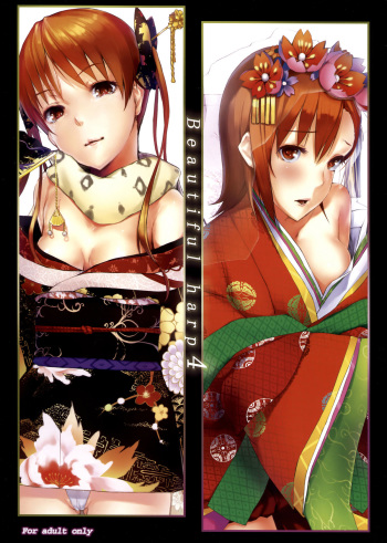 Beautiful harp 4 cover