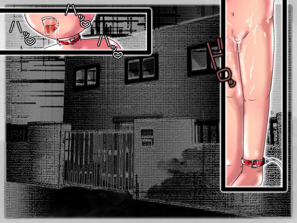 Donna Hentai Teki na Meirei ni mo Shitagau Sei Dorei no Onnanoko o Suki Houdai Choukyou Suru Hanashi page 3 full