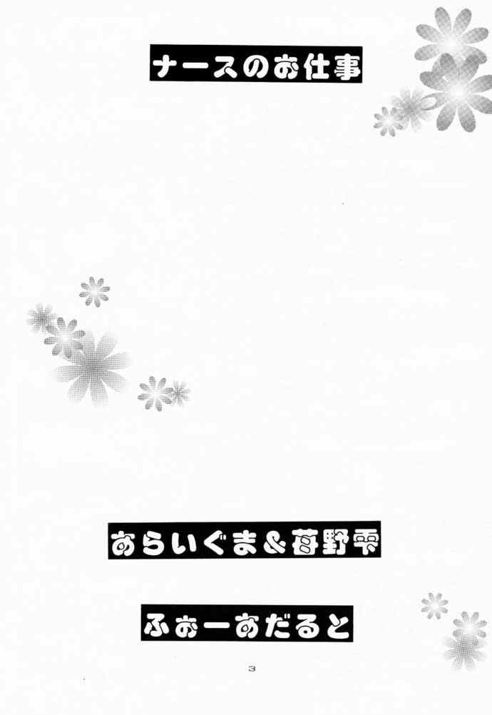 Nurse no Oshigoto page 2 full