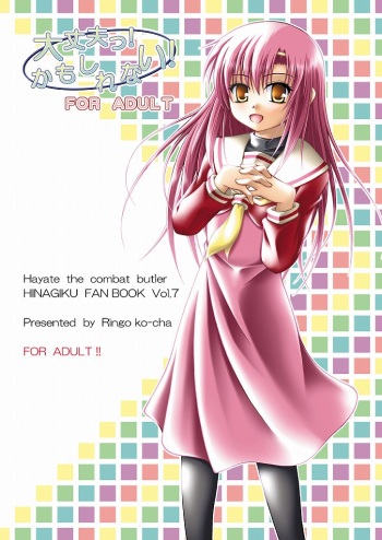 Daijoubu! Kamoshirenai! cover