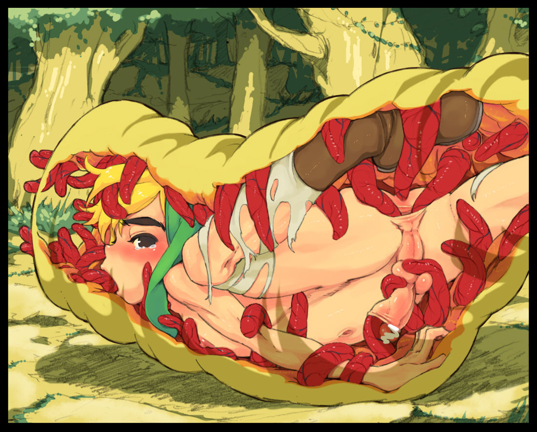 The Legend of Zelda: Link - Yaoi&amp;Monster Set page 3 full