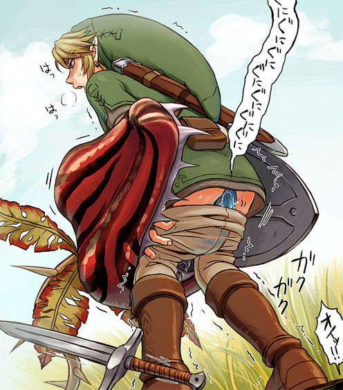 The Legend of Zelda: Link - Yaoi&amp;Monster Set page 5 full