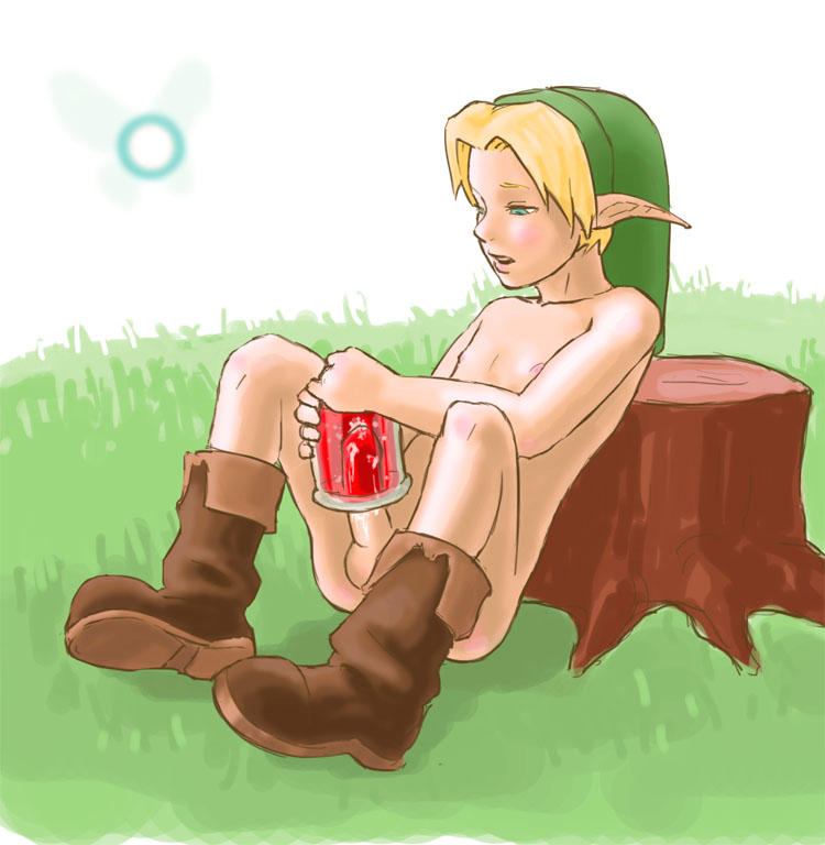The Legend of Zelda: Link - Yaoi&amp;Monster Set page 8 full