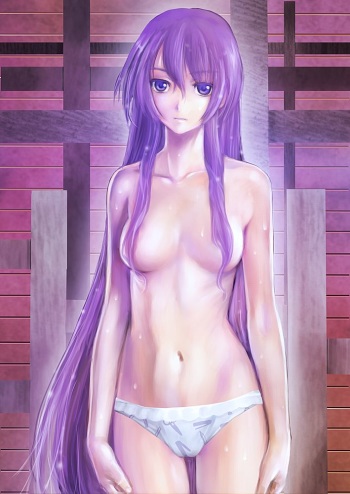 Bakemonogatari My Fav Images cover