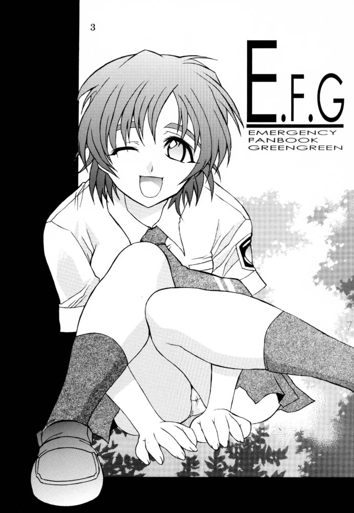 EFG - Emergency Fanbook GreenGreen page 2 full