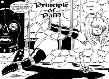 Principle of Pain cover