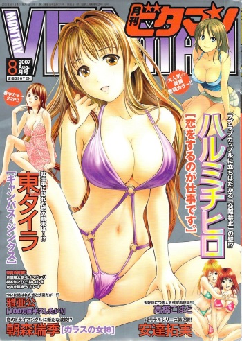Monthly Vitaman 2007-08 cover