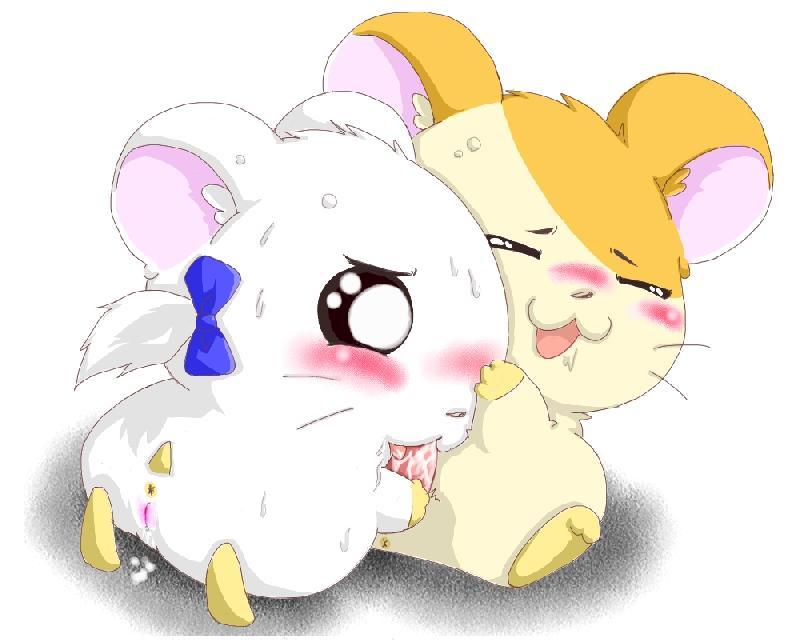 hamtaro page 2 full