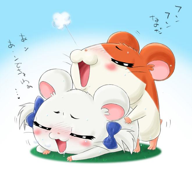 hamtaro page 4 full